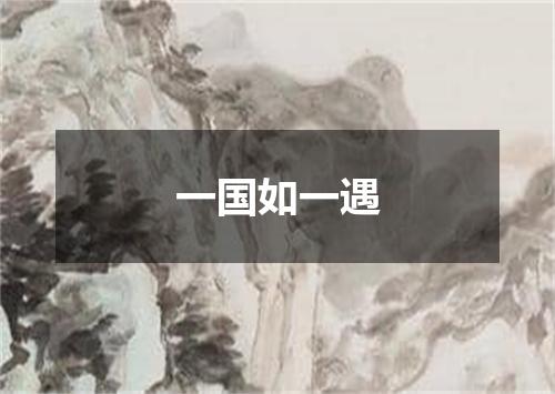 一国如一遇