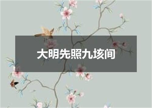 大明先照九垓间