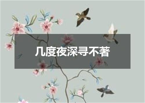 几度夜深寻不著