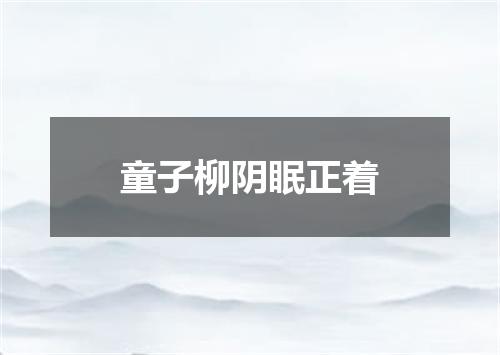 童子柳阴眠正着