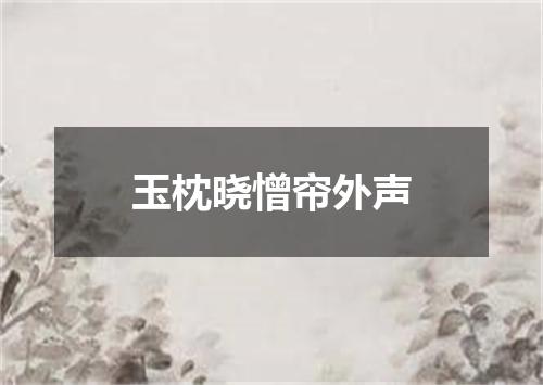 玉枕晓憎帘外声