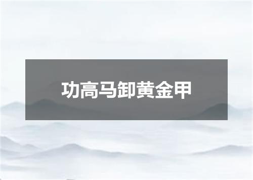 功高马卸黄金甲