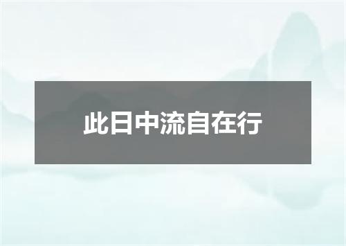 此日中流自在行