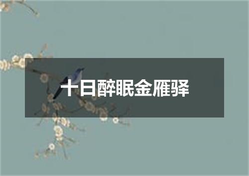 十日醉眠金雁驿