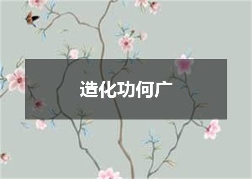 造化功何广