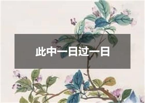 此中一日过一日