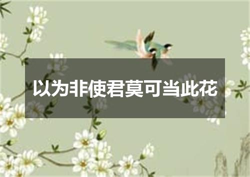 以为非使君莫可当此花