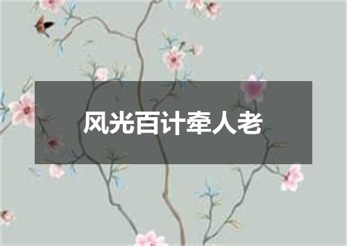 风光百计牵人老