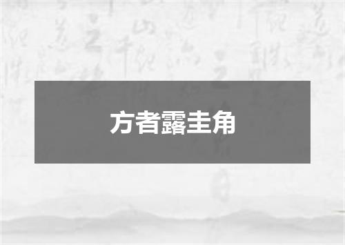 方者露圭角