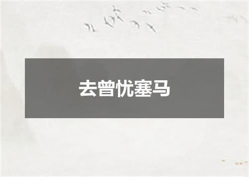 去曾忧塞马