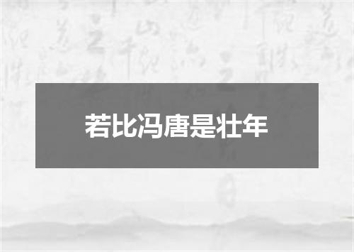 若比冯唐是壮年