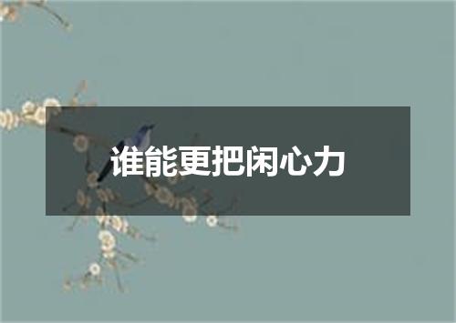 谁能更把闲心力