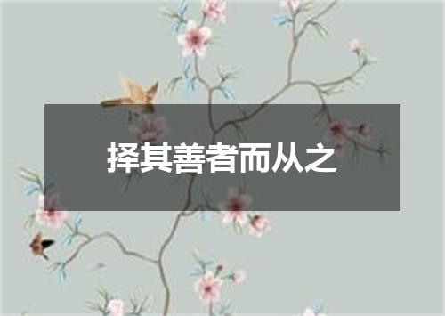 择其善者而从之