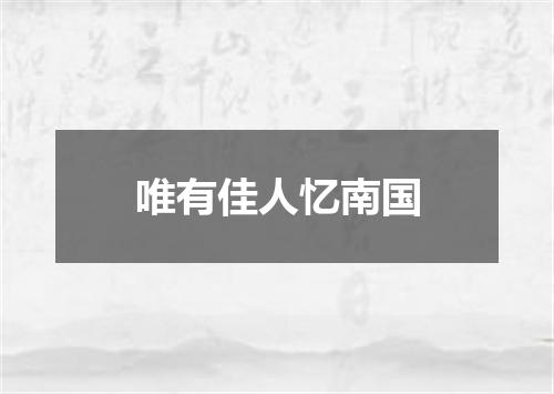 唯有佳人忆南国
