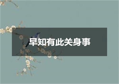 早知有此关身事