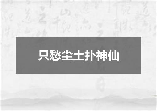 只愁尘土扑神仙