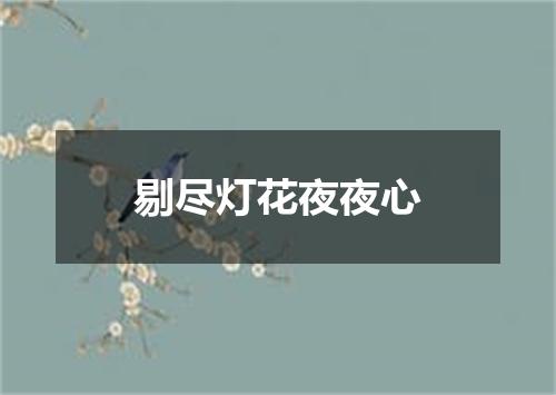 剔尽灯花夜夜心