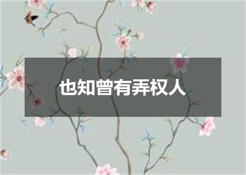 也知曾有弄权人