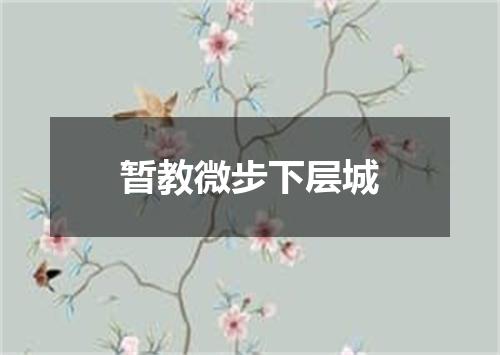 暂教微步下层城