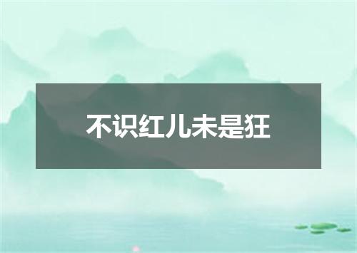 不识红儿未是狂