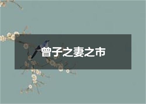 曾子之妻之市