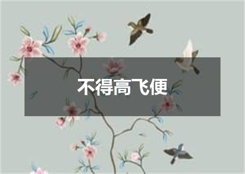 不得高飞便
