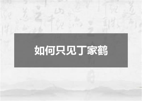 如何只见丁家鹤