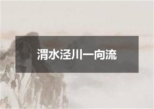 渭水泾川一向流