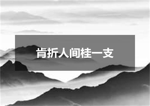 肯折人间桂一支