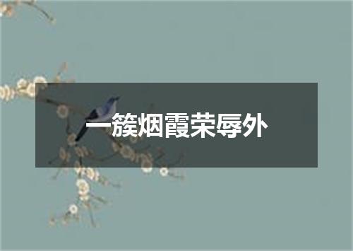一簇烟霞荣辱外