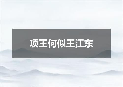 项王何似王江东