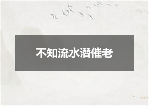 不知流水潜催老