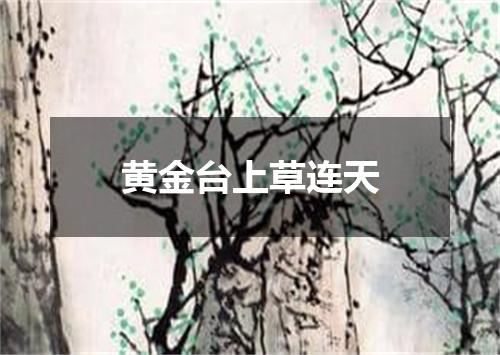黄金台上草连天