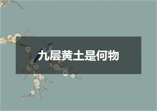 九层黄土是何物
