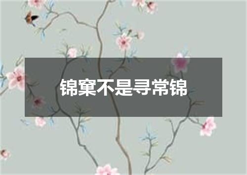 锦窠不是寻常锦