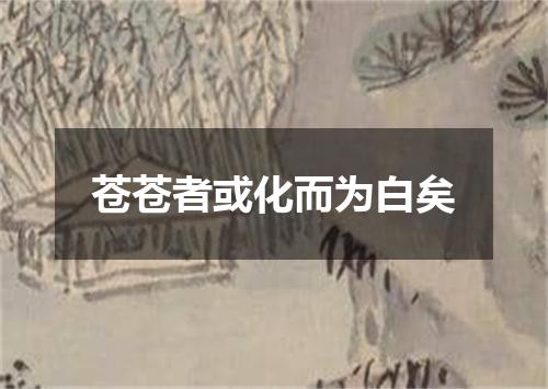苍苍者或化而为白矣