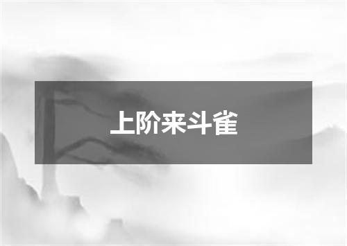 上阶来斗雀
