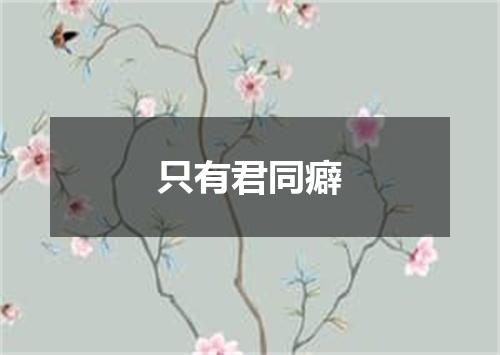 只有君同癖