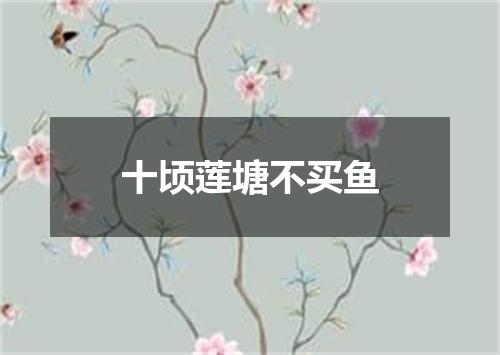 十顷莲塘不买鱼