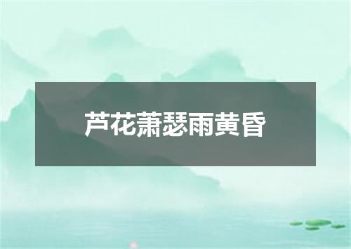 芦花萧瑟雨黄昏