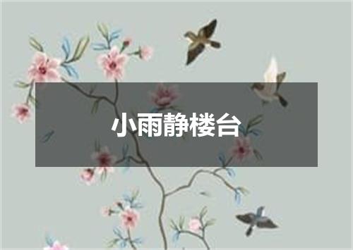 小雨静楼台