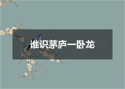 谁识茅庐一卧龙