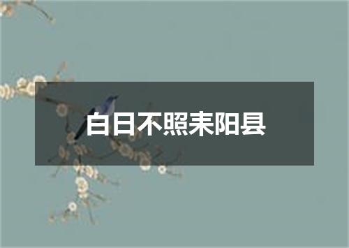白日不照耒阳县