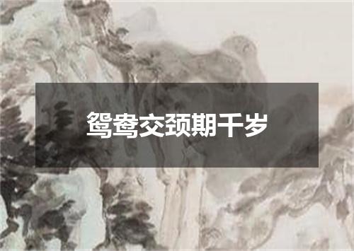 鸳鸯交颈期千岁