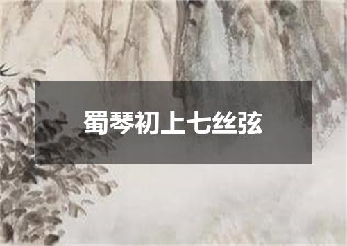 蜀琴初上七丝弦