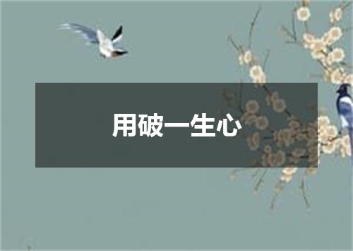 用破一生心