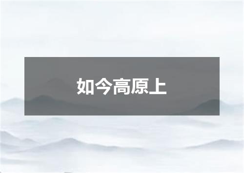 如今高原上