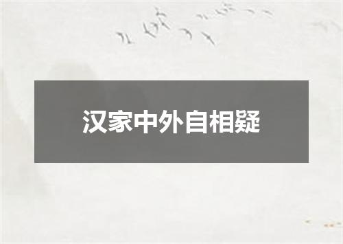 汉家中外自相疑