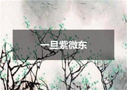 一旦紫微东