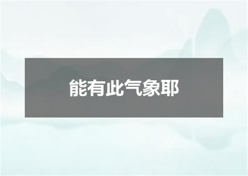 能有此气象耶